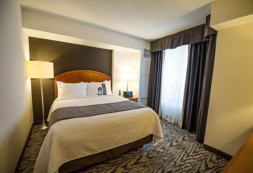 سوییت جونیور, Cambridge Suites Hotel Halifax