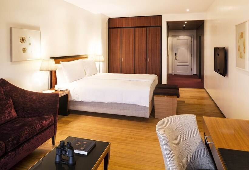 디럭스 룸, Bellevue Palace Bern