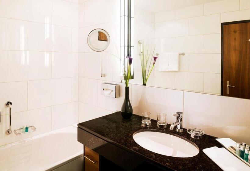 스탠다드 싱글 룸, Bellevue Palace Bern