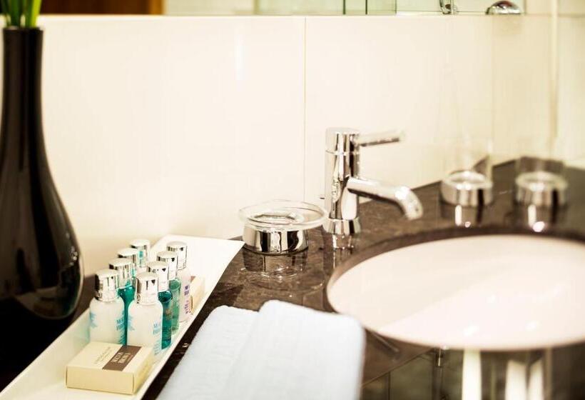 싱글 디럭스 룸, Bellevue Palace Bern