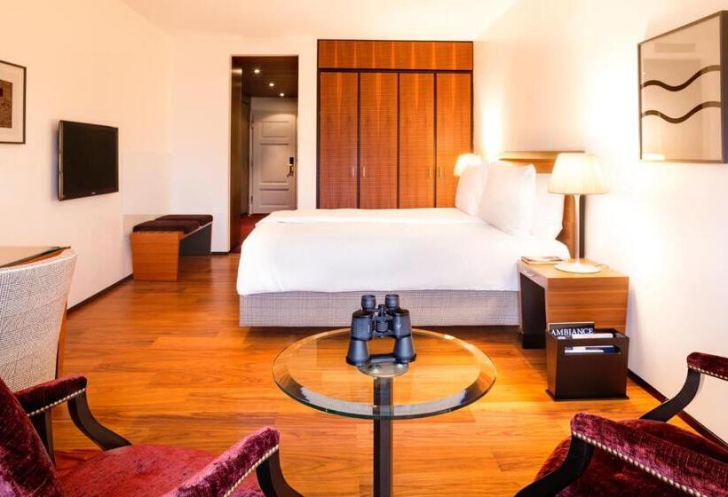 싱글 디럭스 룸, Bellevue Palace Bern