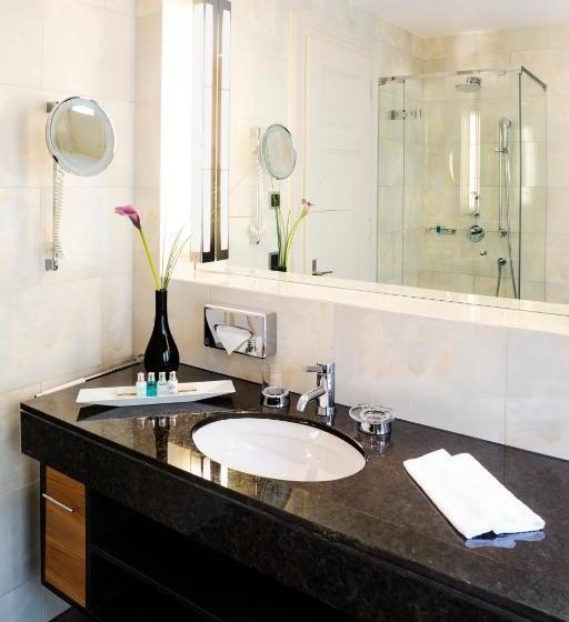 스탠다드 룸, Bellevue Palace Bern