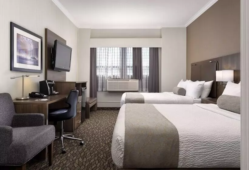 ２ダブルベッドのスタンダードルーム, Best Western Plus Carlton Plaza