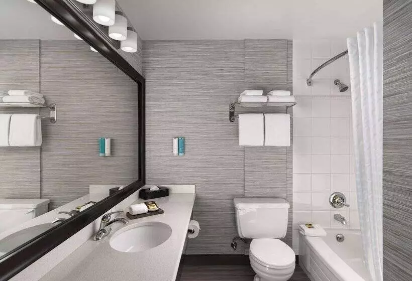 スイート, Best Western Plus Carlton Plaza
