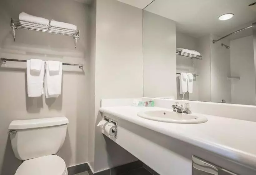 اتاق استاندارد با تخت بزرگ, Best Western Plus Vancouver Airport