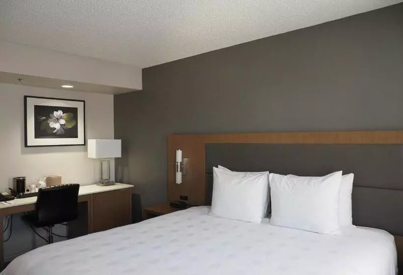 اتاق استاندارد با تخت بزرگ, Best Western Plus Vancouver Airport