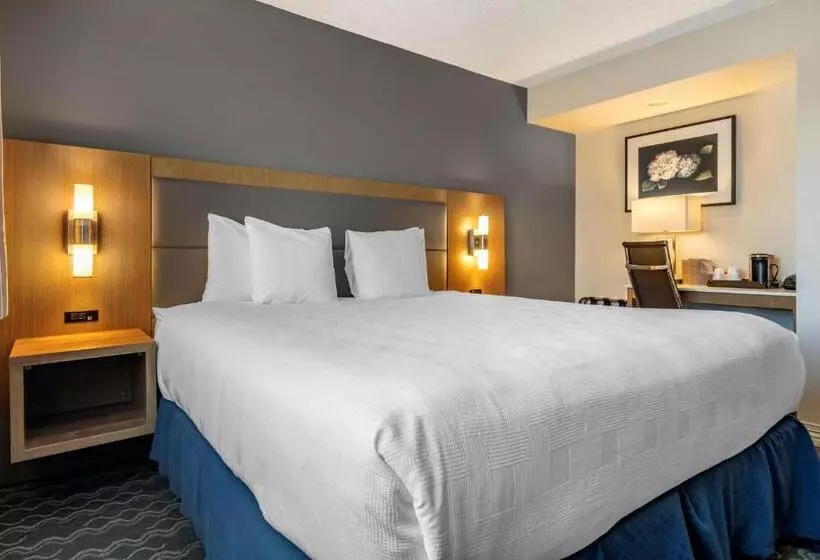 اتاق اجرایی با تخت بزرگ, Best Western Plus Vancouver Airport