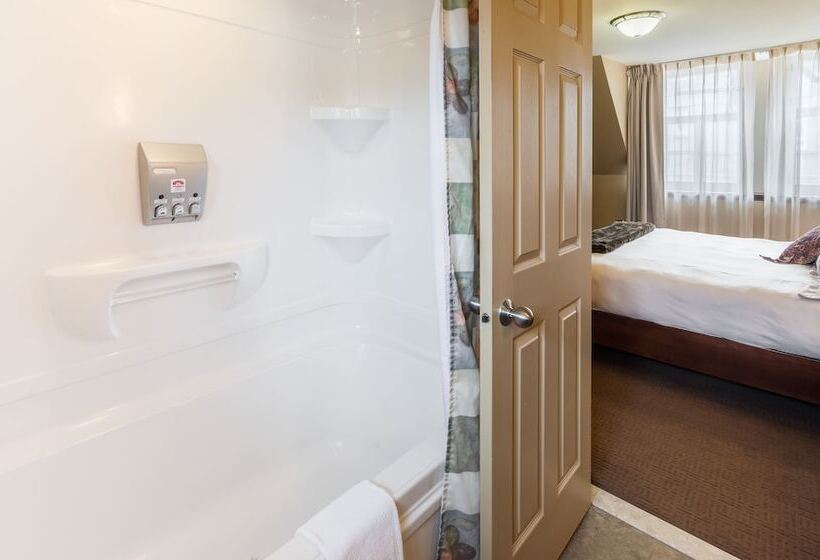 اتاق لوکس, Chateau Bellevue