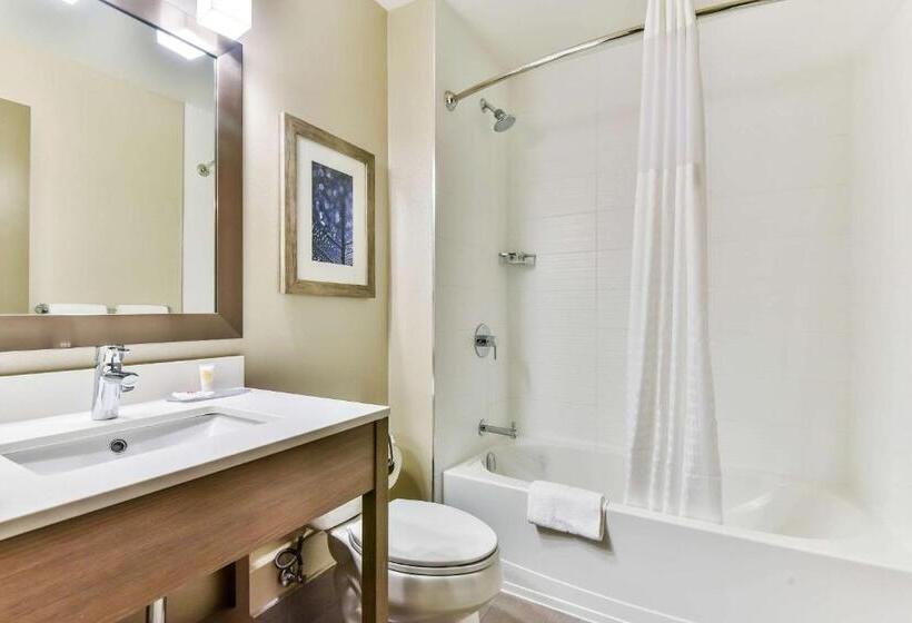 اتاق استاندارد با تخت بزرگ, Comfort Hotel Airport North