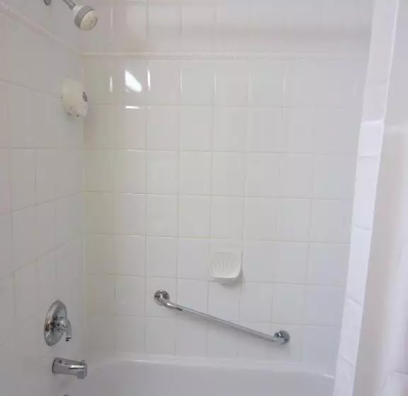 اتاق استاندارد با تخت بزرگ, Days Inn By Wyndham Vancouver Downtown