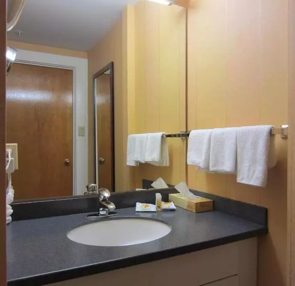 اتاق استاندارد با 2 تخت دوبل, Days Inn By Wyndham Vancouver Downtown