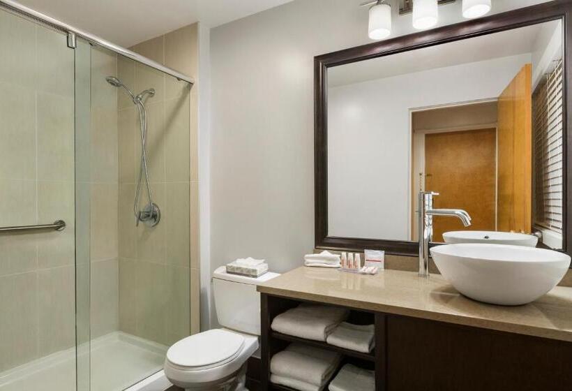 ２ダブルベッドのスタンダードルーム, Days Inn By Wyndham Vancouver Downtown