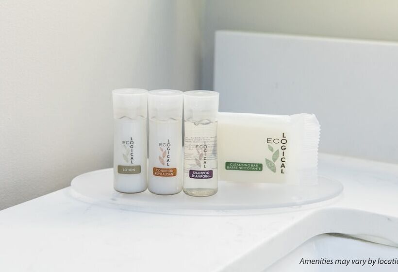 غرفه قياسيه سريرين مزدوجين, Days Inn By Wyndham Vancouver Downtown