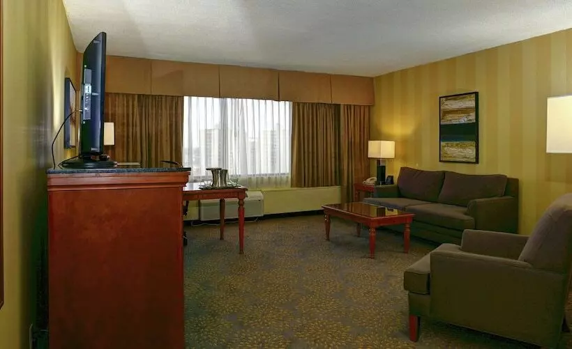 سوئیت با تخت بزرگ, Doubletree By Hilton Hotel London Ontario