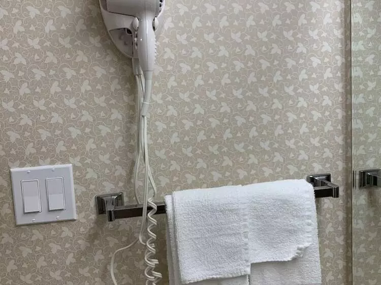 Standard-huone 2 Parivuodetta, Econo Lodge Airport Quebec