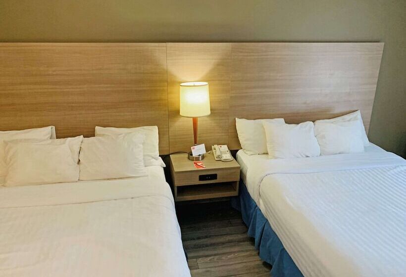 חדר סטנדרט שתי מיטות זוגיות, Econo Lodge Airport Quebec