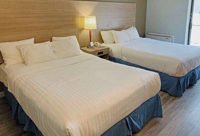 חדר סטנדרט שתי מיטות זוגיות, Econo Lodge Airport Quebec