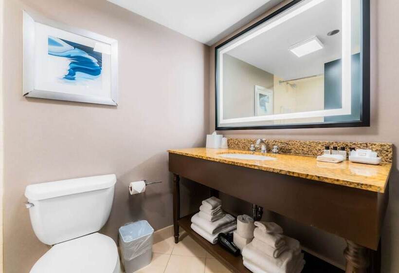 带2个双人床的标准工作室, Wyndham Fallsview