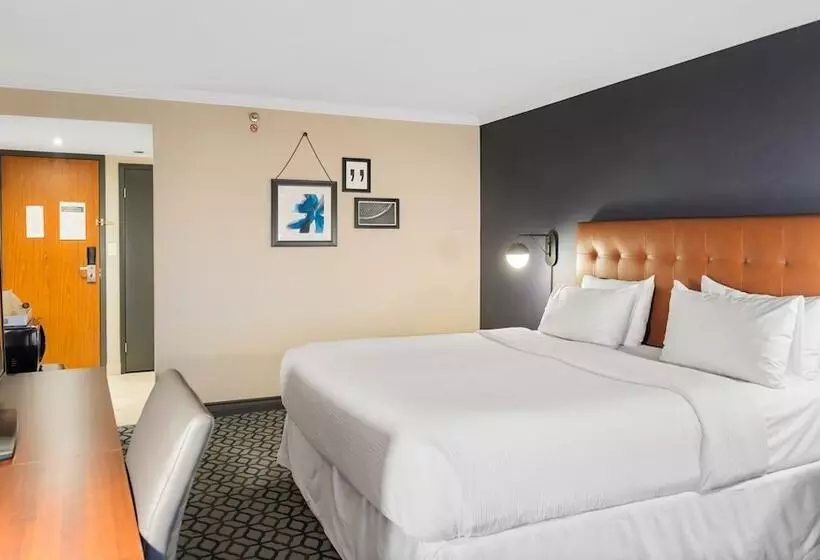 シティビューのダブルベッドスタンダードルーム, Wyndham Fallsview
