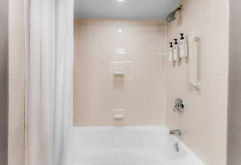 带城市景观及双人床的标准房间, Wyndham Fallsview