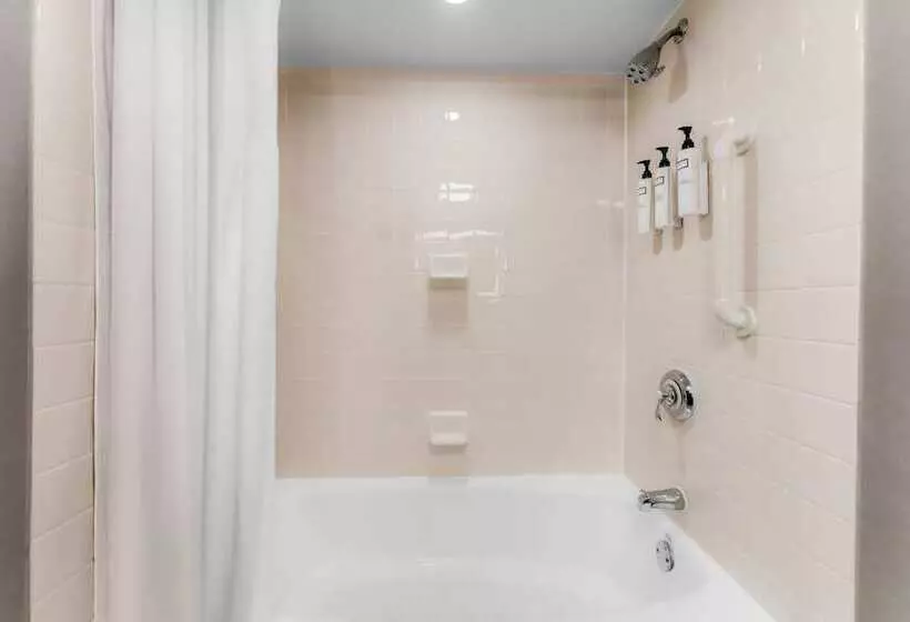 シティビューのダブルベッドスタンダードルーム, Wyndham Fallsview