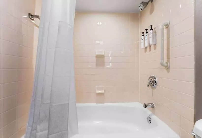 ２ダブルベッドのスタンダードルーム, Wyndham Fallsview