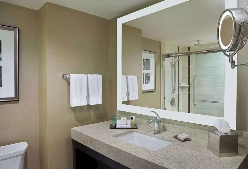 エクゼクティブルーム, Hilton Toronto