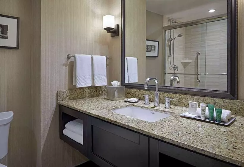 ２ダブルベッドのスタンダードルーム, Hilton Toronto