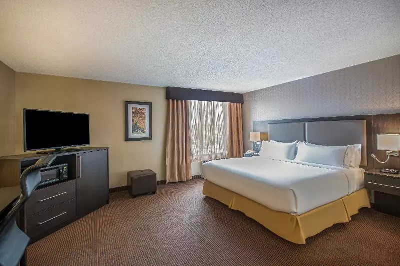 اتاق استاندارد با تخت بزرگ, Quality Inn & Suites
