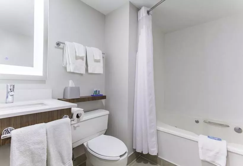 اتاق استاندارد, Holiday Inn Express & Suites Mississauga Toronto Southwest, An Ihg