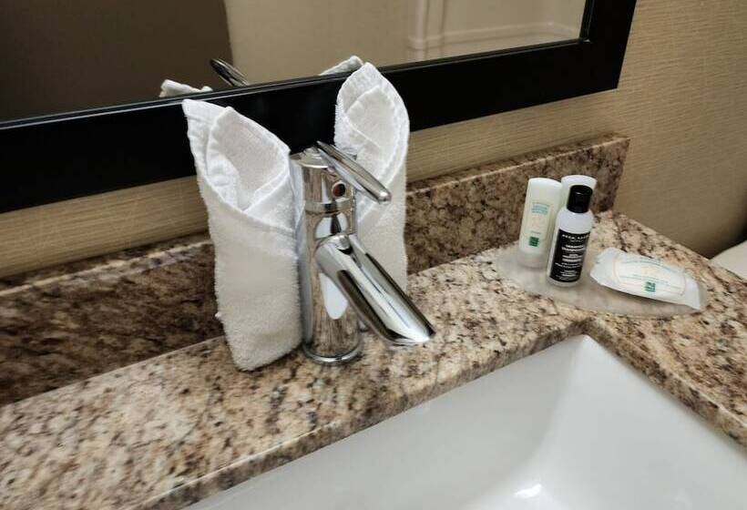 Standard Værelse 2 Dobbeltsenge, Quality Inn