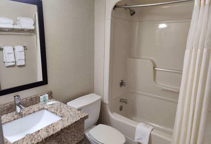 Standard Værelse 2 Dobbeltsenge, Quality Inn