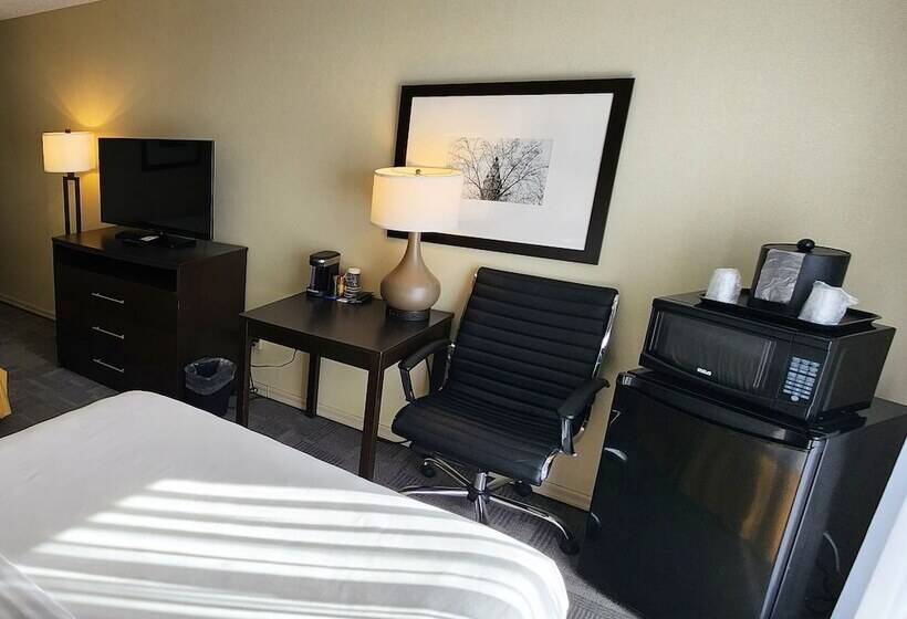 Standard Værelse 2 Dobbeltsenge, Quality Inn