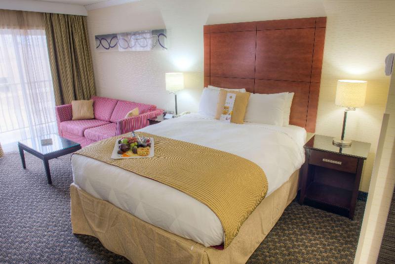 غرفة قياسية سرير كينج, Radisson Hotel Sudbury