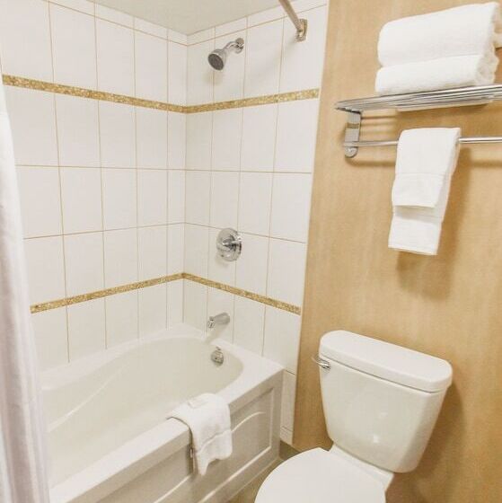 ２ダブルベッドのスタンダードルーム, Radisson Hotel Winnipeg Downtown