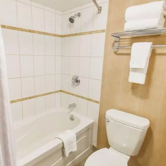 اتاق استاندارد با 2 تخت دوبل, Radisson Hotel Winnipeg Downtown