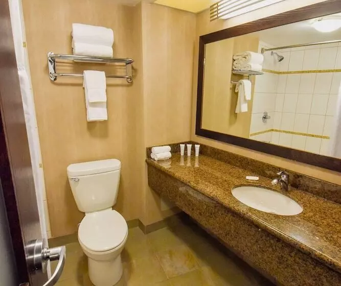 اتاق استاندارد با 2 تخت دوبل, Radisson Hotel Winnipeg Downtown