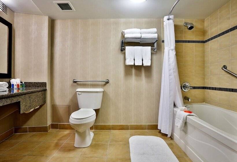 ２ダブルベッドのスタンダードルーム, Radisson Hotel Winnipeg Downtown