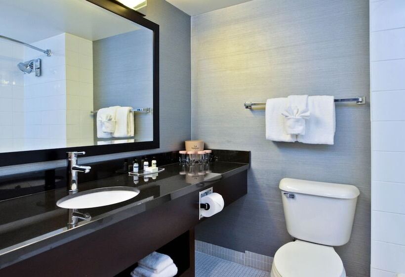 غرفه قياسيه سريرين مزدوجين, Sandman Hotel Lethbridge