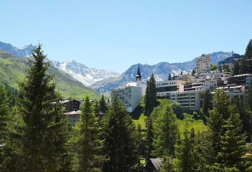 سوییت جونیور, Seehofarosa