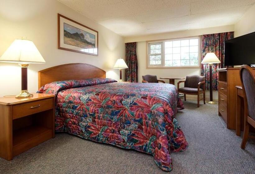 غرفة قياسية سرير كينج, Town And Mountain