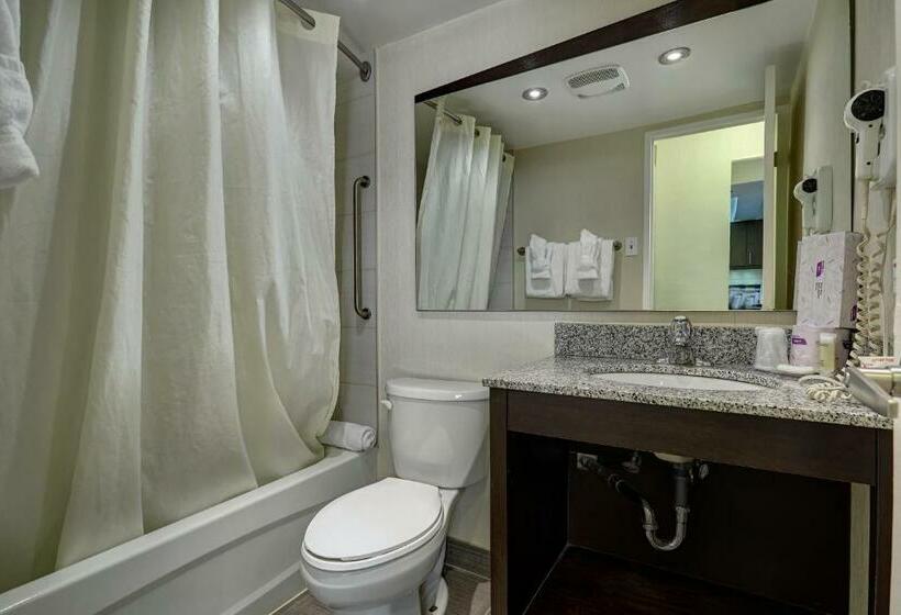 Люкс Повышенной Комфортности, Town Inn Suites