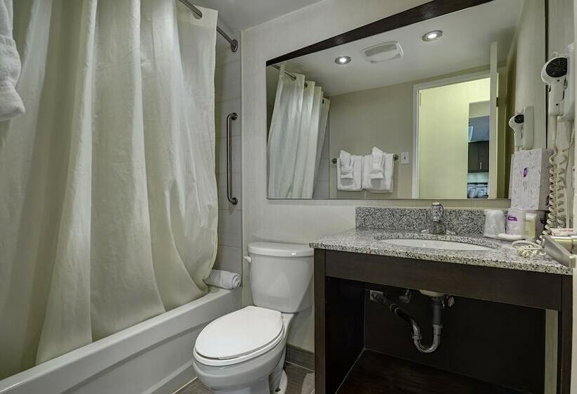 Люкс Повышенной Комфортности, Town Inn Suites