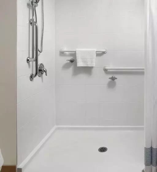 استودیو استاندارد با تخت کینگ, Towneplace Suites By Marriott Mississaugaairport Corporate Centre