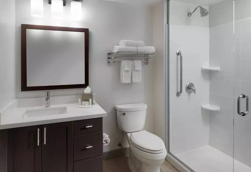 استودیو استاندارد با تخت کینگ, Towneplace Suites By Marriott Mississaugaairport Corporate Centre