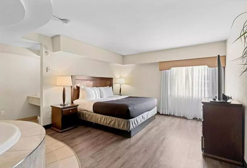 سوئیت با تخت بزرگ, Travelodge Hotel By Wyndham Saskatoon