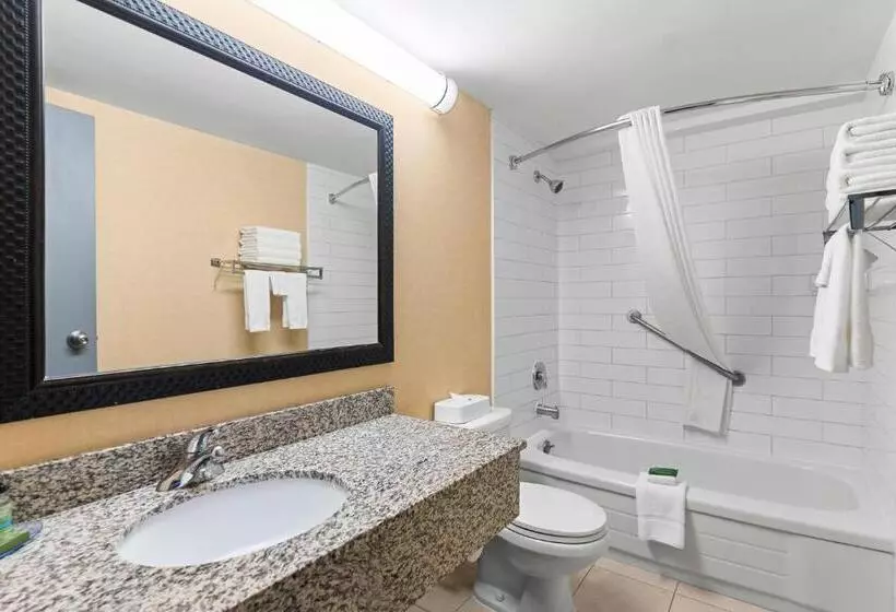 سوئیت با تخت بزرگ, Travelodge Hotel By Wyndham Saskatoon