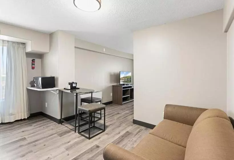 سوئیت با تخت بزرگ, Travelodge Hotel By Wyndham Saskatoon