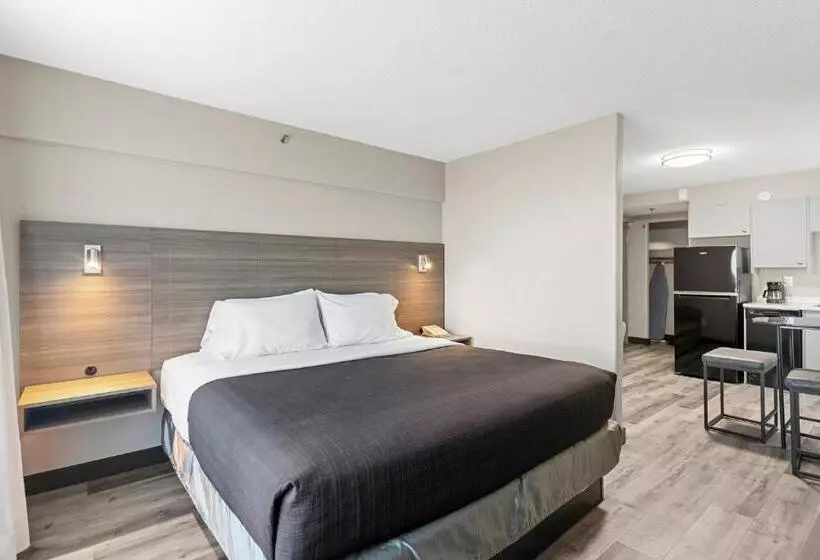 سوئیت با تخت بزرگ, Travelodge Hotel By Wyndham Saskatoon