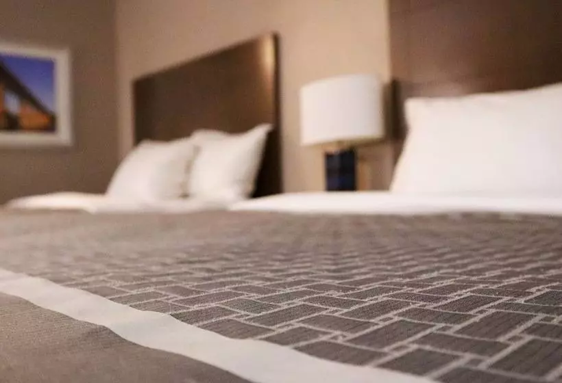 اتاق کلاس بیزنس, Travelodge Hotel By Wyndham Saskatoon